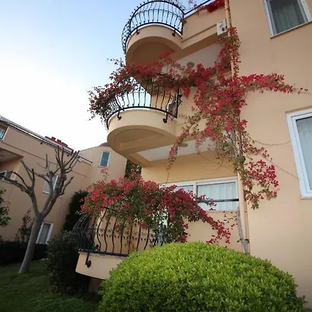 Ultra Lux Daire